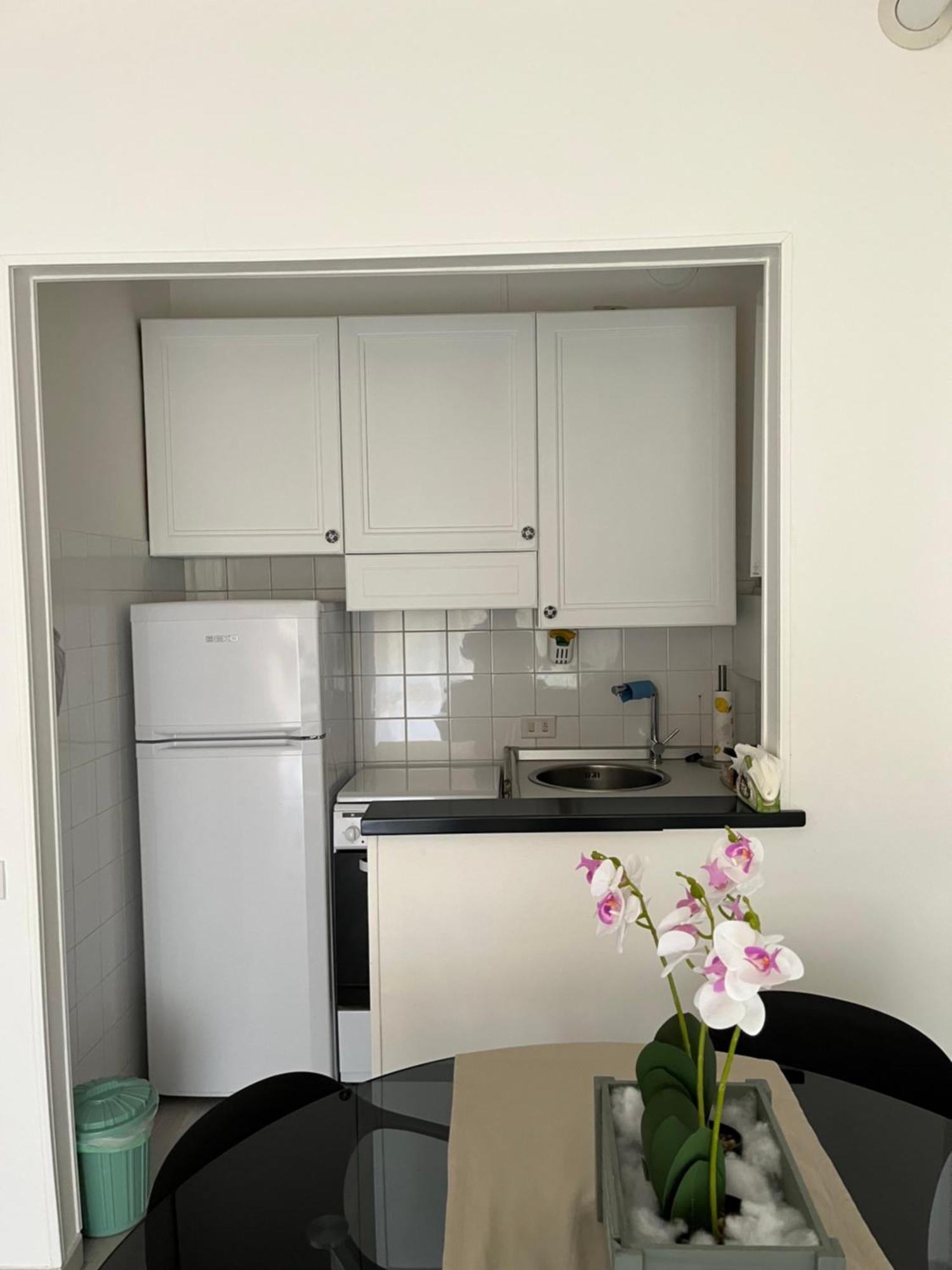 Lake & Nature Apartment Ispra Extérieur photo